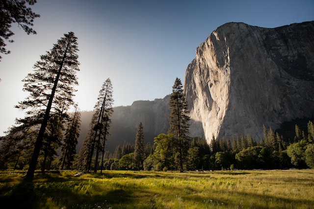 The sun shines on the mountains and trees - Photo by Adam Kool on Unsplash